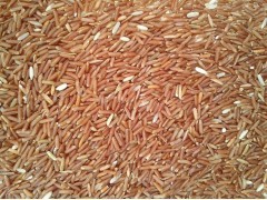 有机红米稻谷供应与粗加工全解析