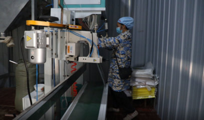 三都 精准施策，严防控、稳民生、保发展，稻谷加工产业焕发新活力