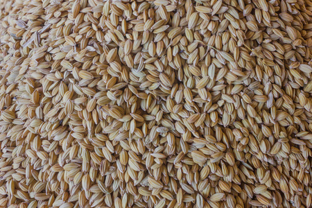 谷粒到碗边 稻谷加工的影像叙事