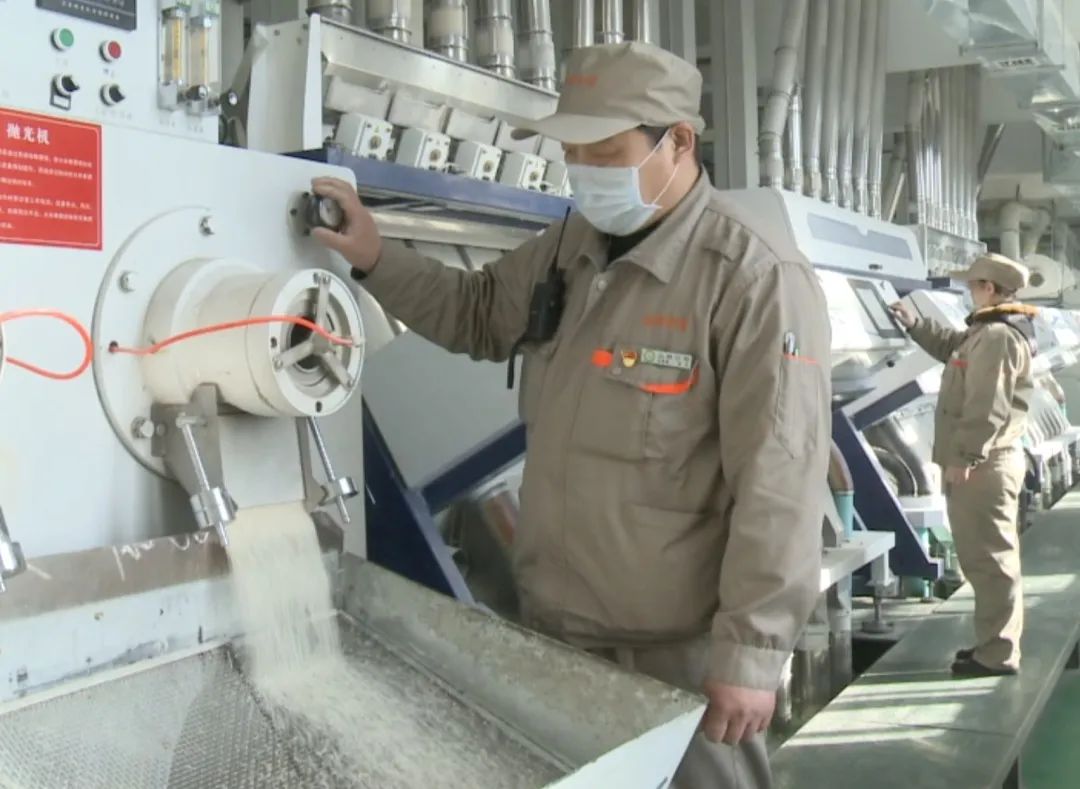 战疫情 保生产 | 鹤岗 连开三条生产线 马力十足助春耕稻谷加工