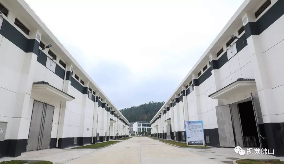 无锡粮企新风尚 科技赋能，从浅圆仓储备到稻谷加工的全链条升级